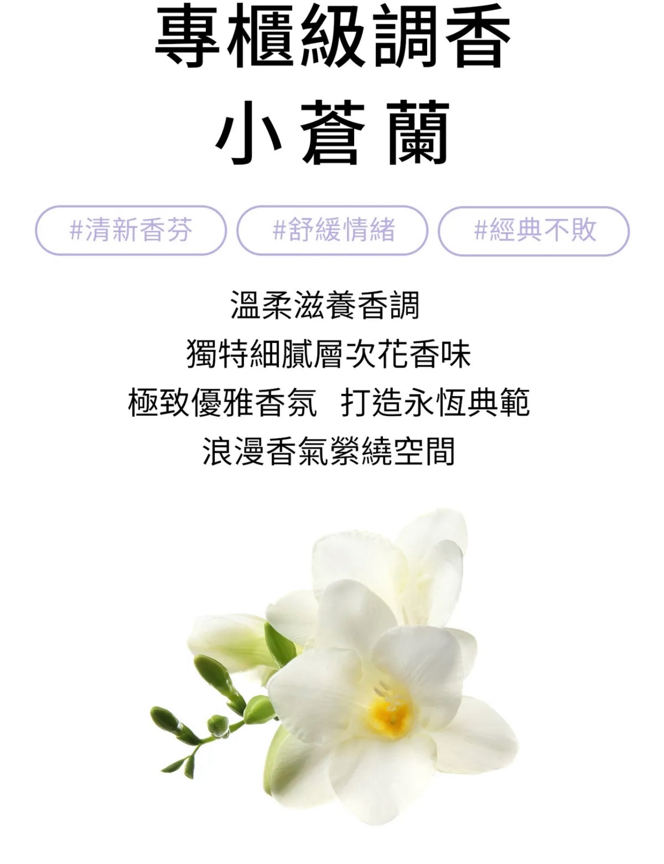 水魔素淨化精油擴香【薰衣草/小蒼蘭】180ML