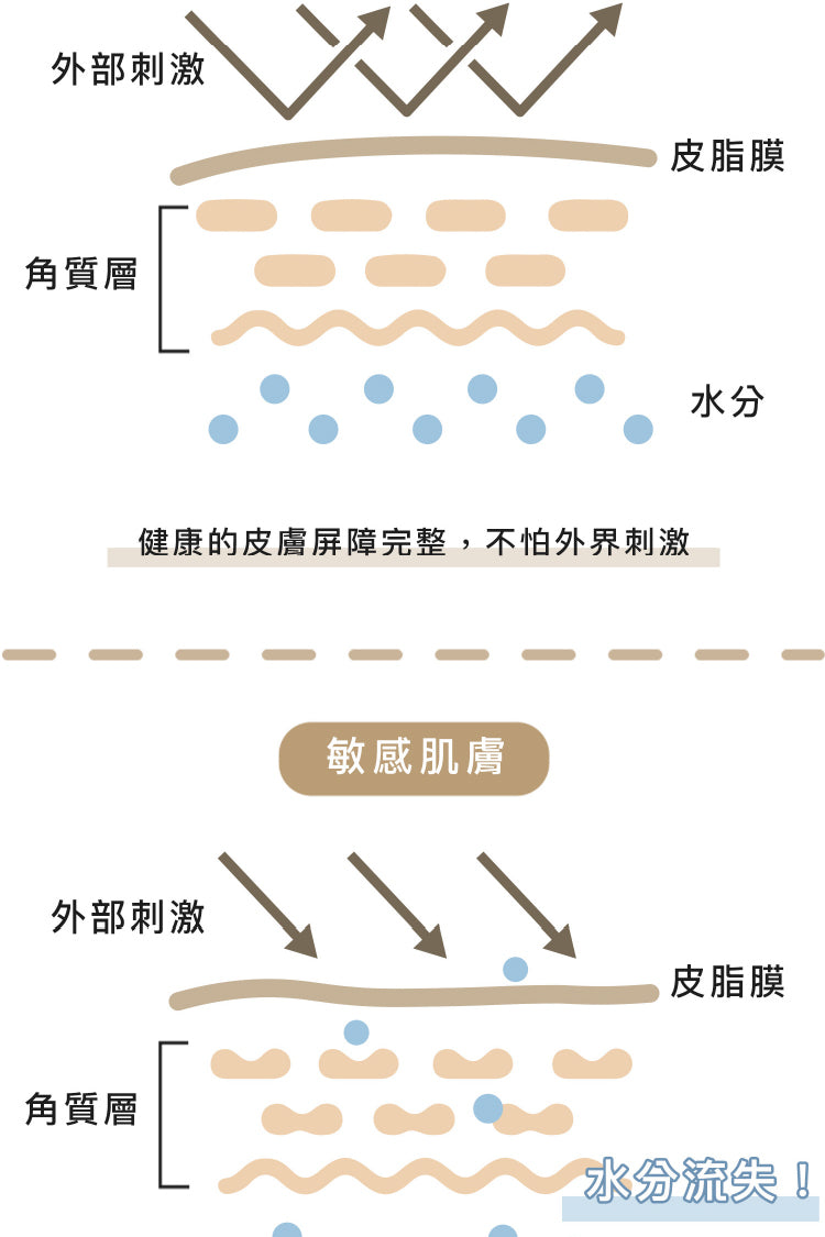 fampet® 犬貓專用益生菌-皮膚保健