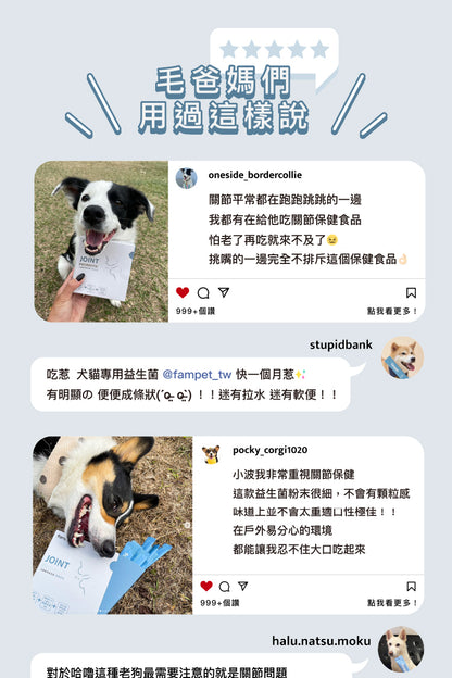 fampet® 犬貓專用益生菌-關節保健
