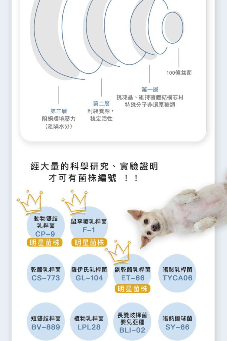 fampet® 犬貓專用益生菌-關節保健