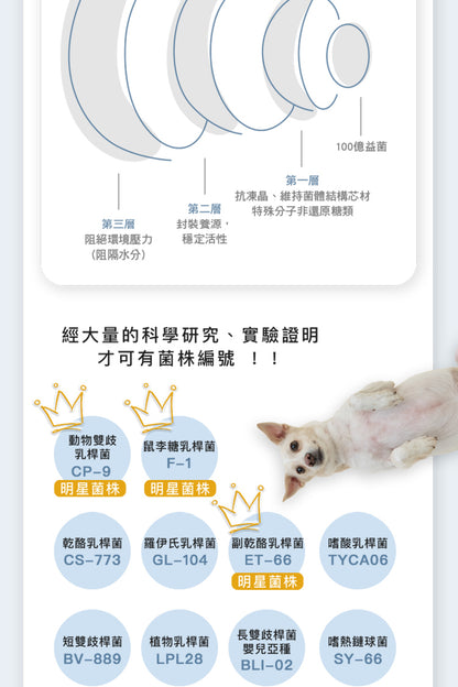 fampet® 犬貓專用益生菌-關節保健